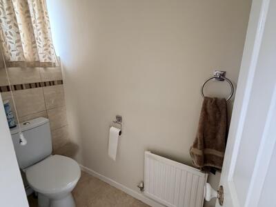 Picture 28